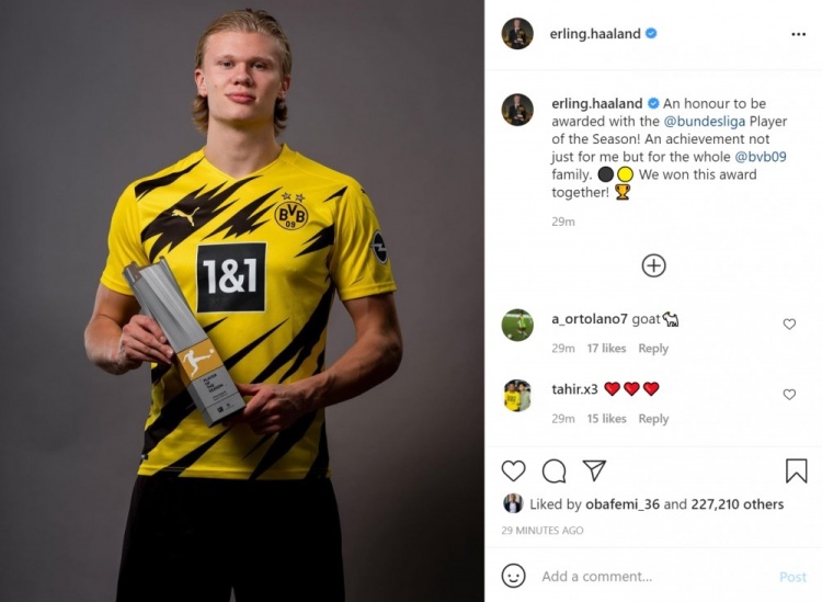 谢泼德高效 谢泼德高效